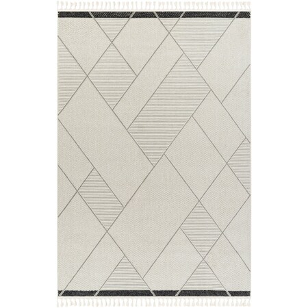 Livabliss Finland FND-2303 Area Rug , With Fringe FND2303-9212